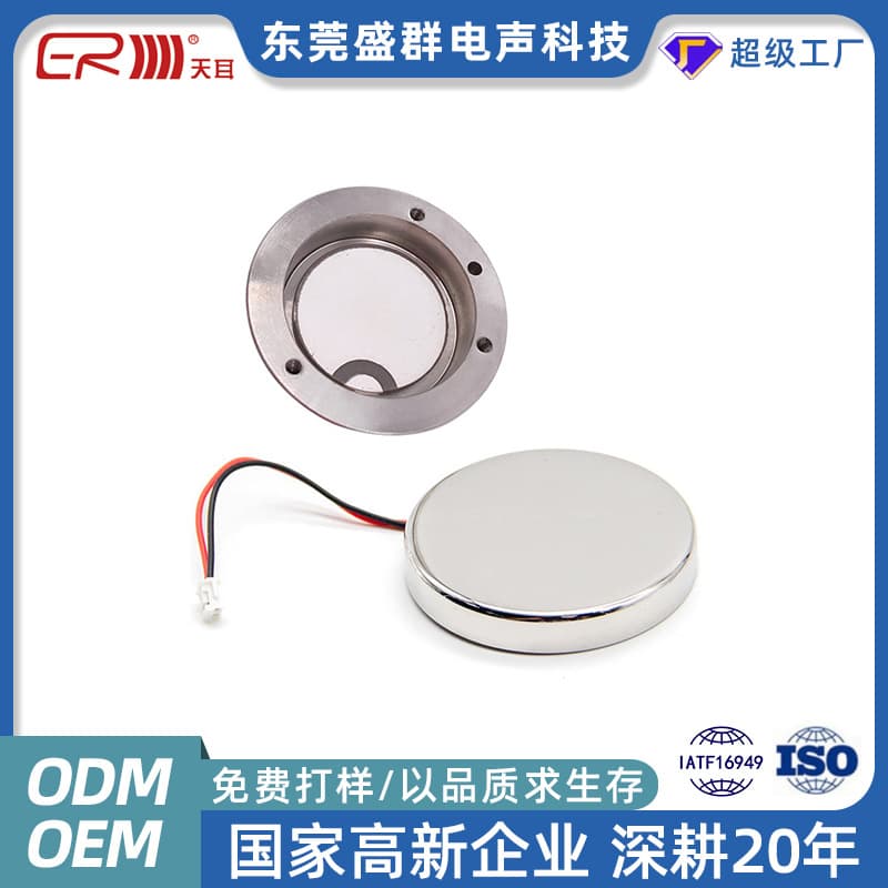 Dongguan Stainless Steel Ultrasonic Transducer Disc Beauty Head Transducer Vibrator Ultrasonic Piezoelectric Ceramic Transducer