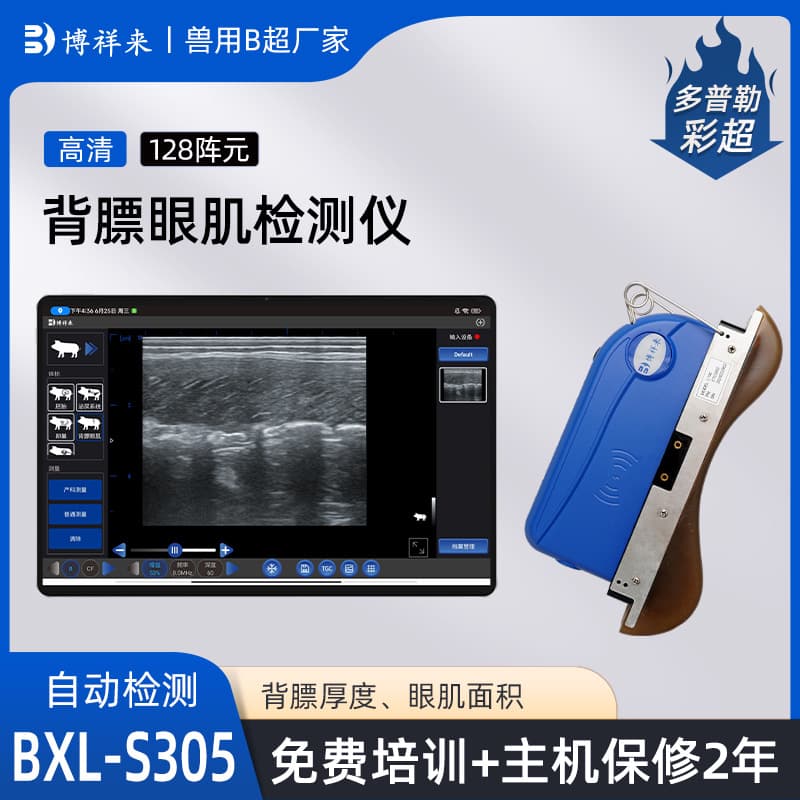 Smart Pig and Cattle Backfat and Loin Eye Measuring Instrument AI Automatic Recognition HD Pig Backfat Thickness Detection Boxianglai