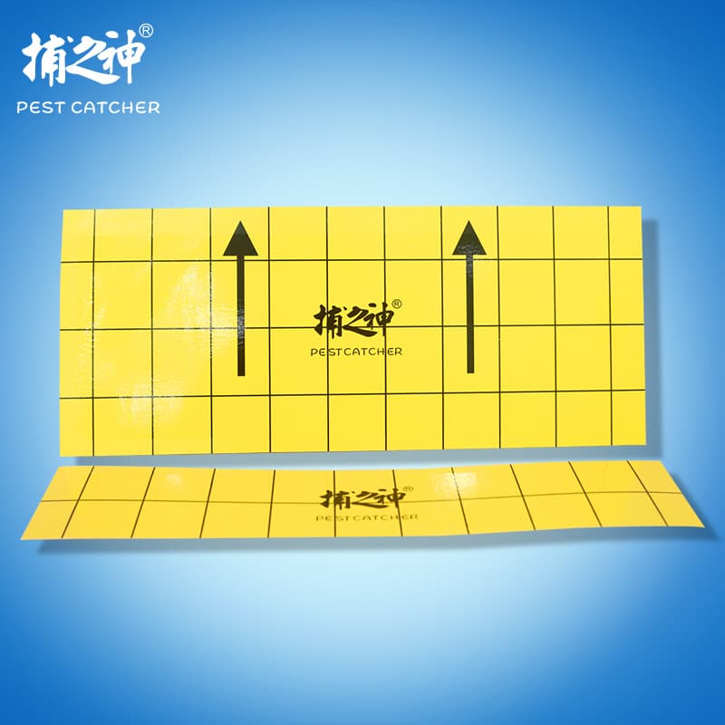 Catcher's Sticky Mosquito and Fly Killer Lamp, Restaurant-Specific Sticky Paper, Double-Layer, Large Area, In Stock