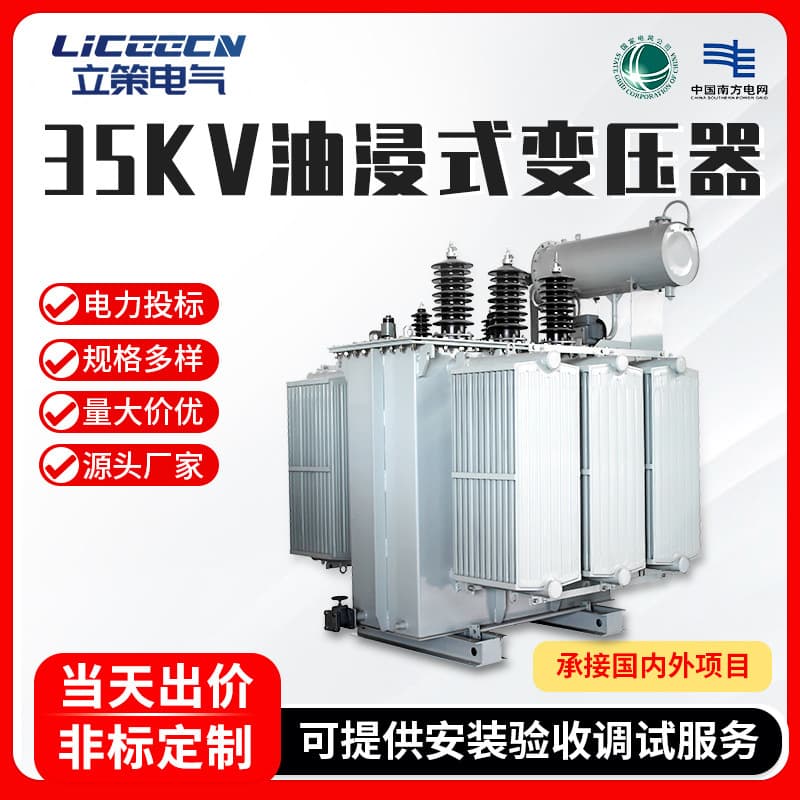 35kV Oil-Immersed Transformer 250/630kVA High Power High Voltage Three-Phase S13 Oil-Immersed Power Transformer