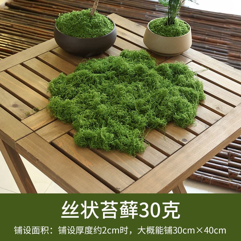 Artificial Moss Turf Bionic Fake Green Moss Micro Landscape Decoration Ornament Lawn Bonsai Potted Plant Surface Landscaping