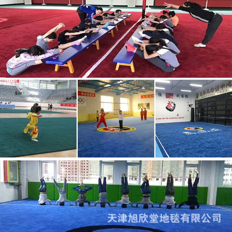 Thickened Handmade Martial Arts Mat for Dance Studio, Gymnastics, Taekwondo, Gym Training and Competition