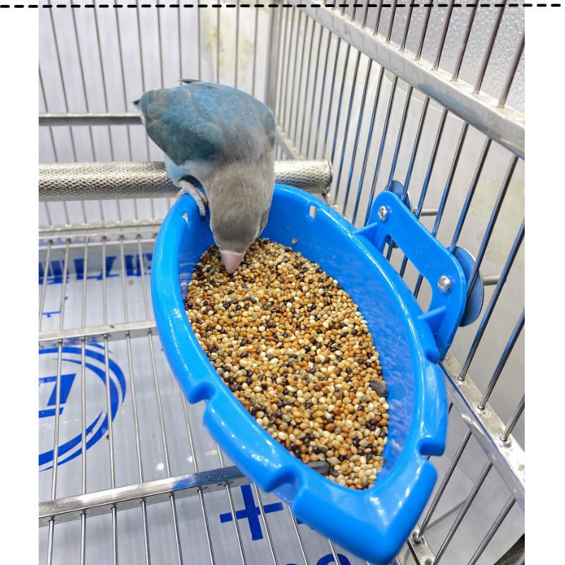 Bird Bathing Basin Parrot Peony Tiger Skin Feeding Basin Food Box Feeder Factory Stock Available
