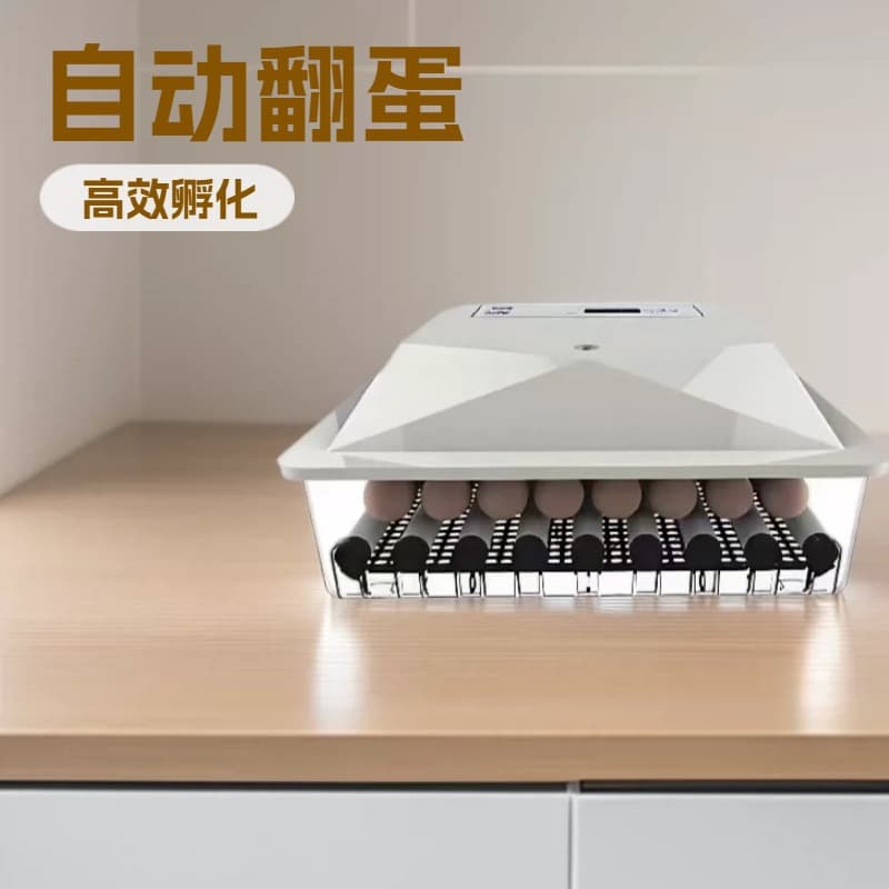 56-Egg Small Home Incubator with Intelligent Temperature Control and Automatic Egg Turner, Chicken Incubation Box