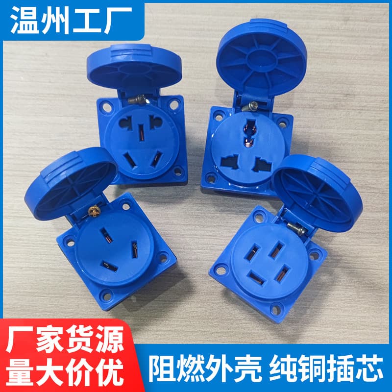 Explosion-proof five-hole power socket waterproof explosion-proof outdoor charging socket 10A 16A industrial explosion-proof socket panel