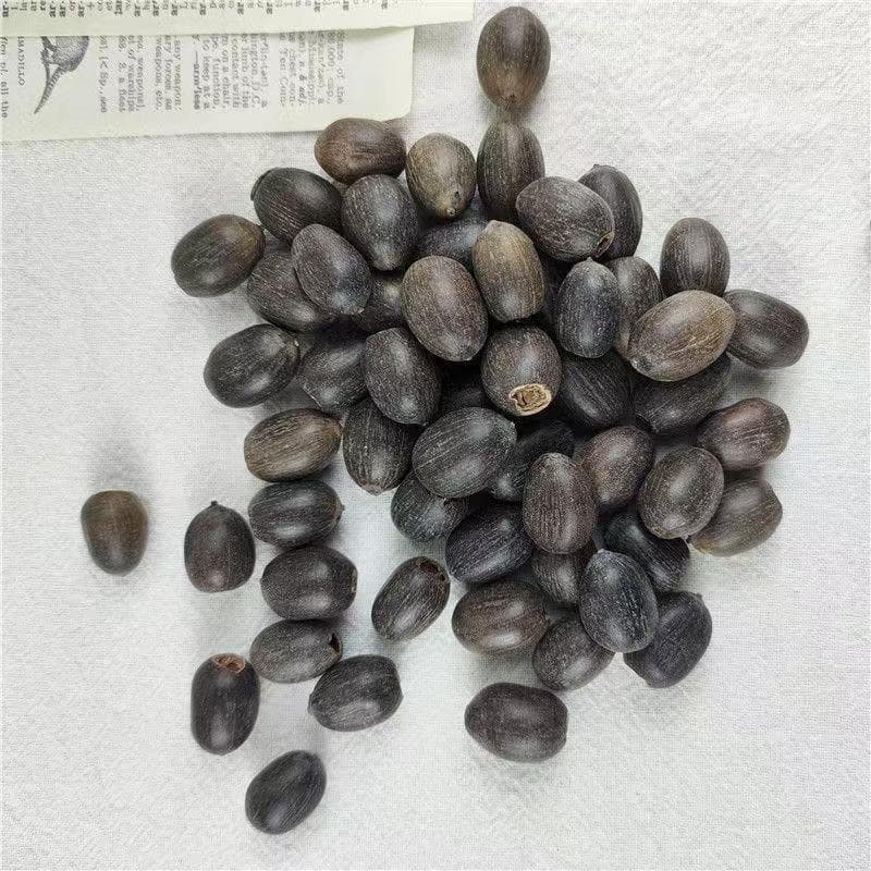 Lotus Seeds, Not Bowl Lotus Seeds, Lotus Seed Seeds, Water Lotus Seeds, Pre-Slit Hydroponic Seeds, Flower Potted Plant Balcony