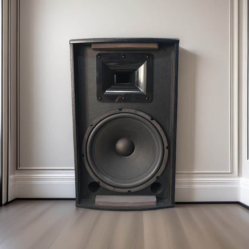 Yinzhi 8-inch Professional Conference Speaker for Exhibition Halls, Classrooms, Teaching, Shops, Malls, Passive Karaoke, and Home KTV Audio