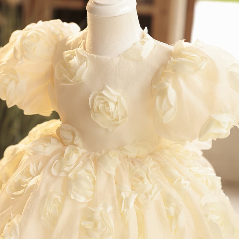 Children's Elegant Champagne Princess Dress with 3D Flowers, High-End Girls' Party Dress for Wedding Flower Girls