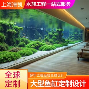 Custom Large Villa Aquarium, Landscape Fish Tank, Curtain Wall Acrylic Fish Tank, Acrylic Fish Tank Installation