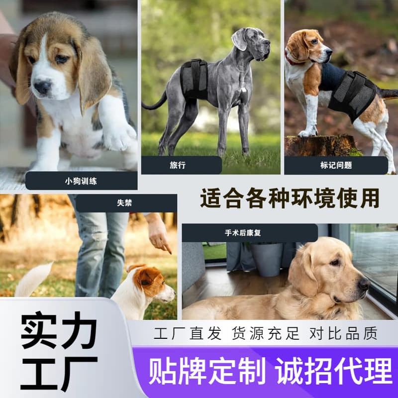 Pet Diaper for Dogs, Male Dog Sanitary Belt, Heat Cycle Anti-Harassment, Senior Dog Care Pet Supplies