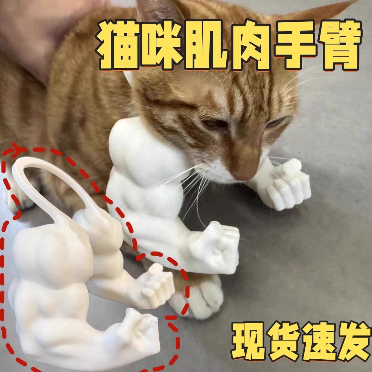 Cross-border Hot Seller Cat Muscle Arm Decoration Hulk Arm Cat Muscle Arm Decoration