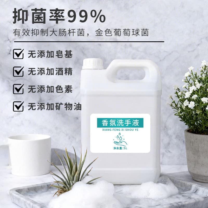 Large Bulk Hand Soap Refill for Commercial Hotels, Restaurants, and Home Use – Gentle Cleansing, Moisturizing Foaming Hand Soap Customizable