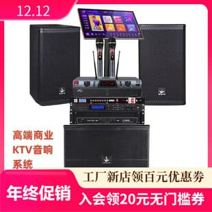 10-inch Home High-End Commercial KTV Audio System Set Bar Villa Private Room Professional Sound Equipment Set