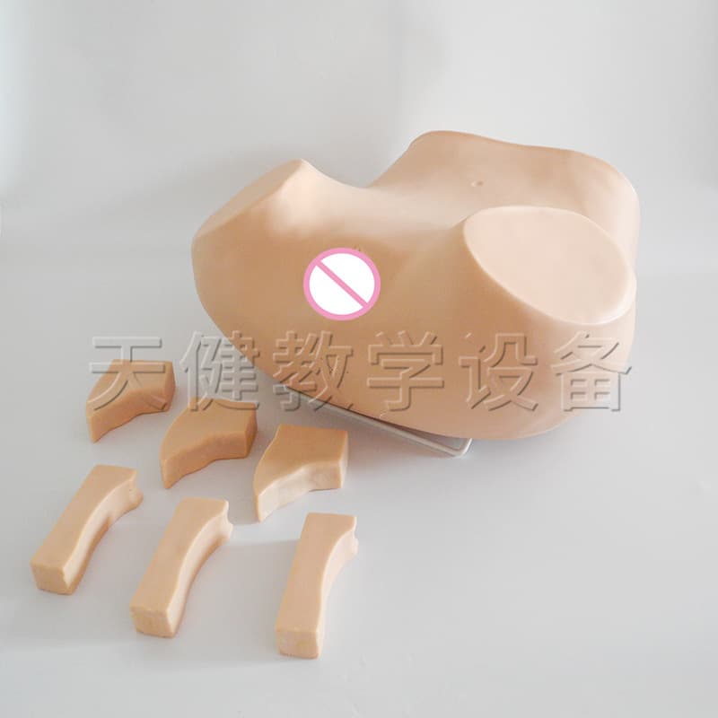 TJ/F51T Posterior Vaginal Fornix Puncture Model Medical Teaching Training Model Vaginal Puncture Training Model