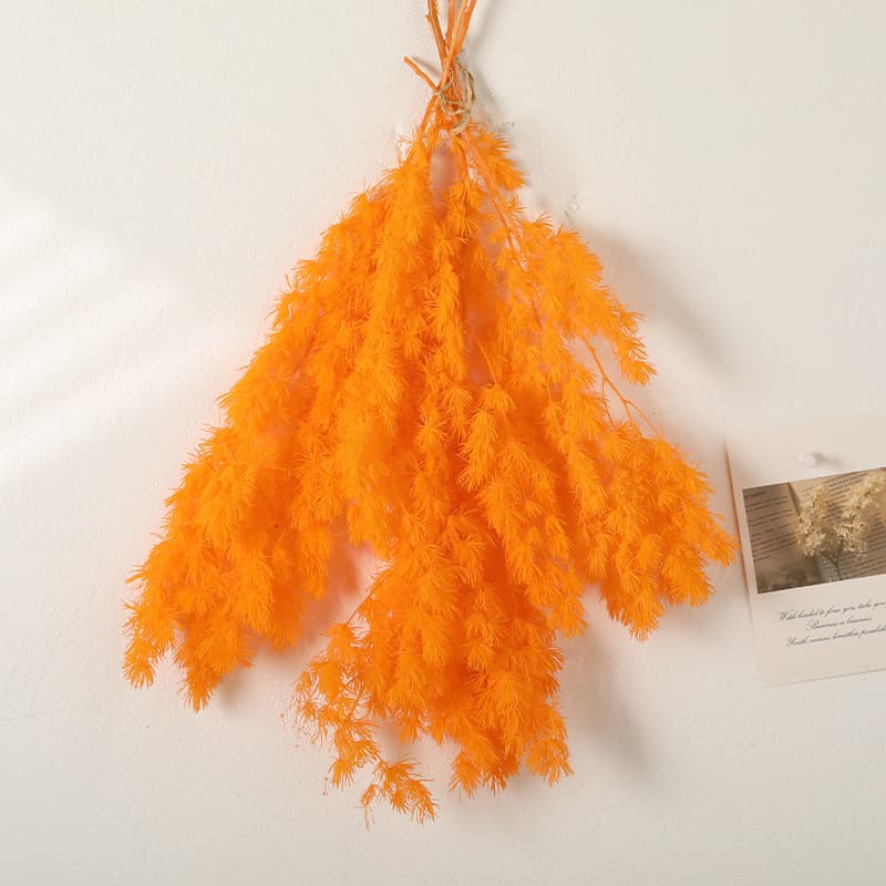 Eternal Penglai Pine Dried Flower Everlasting Bouquet Home Decoration Fresh Flowers DIY Material Floral Shop Supplies
