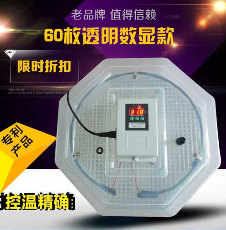 Fully Automatic Small Incubator for Chicken, Duck, Goose, and Bird Eggs - Automatic Egg Incubator Box