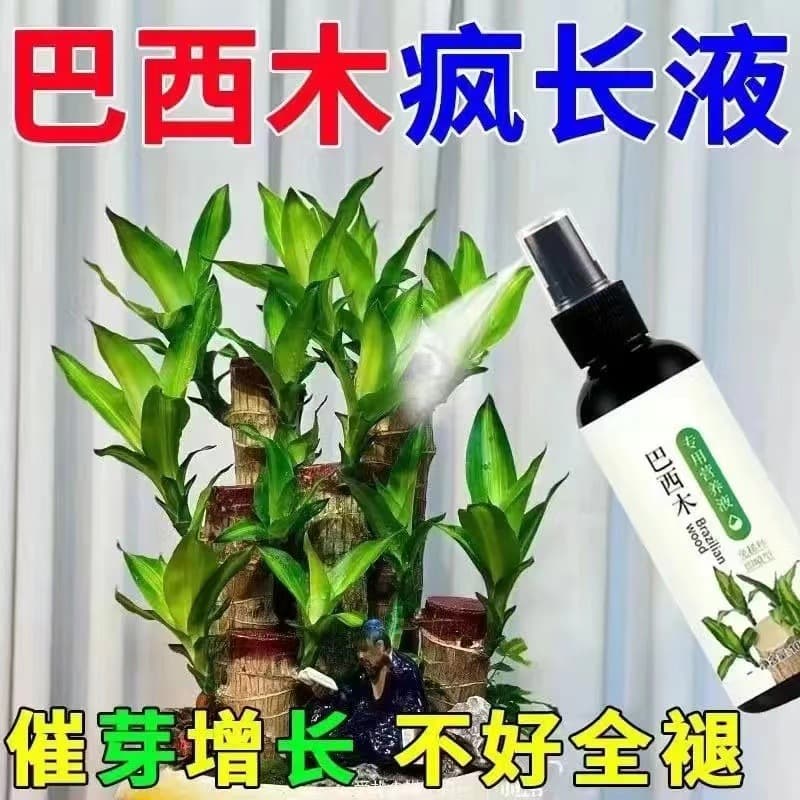 Brazilian Wood Special Nutrient Liquid Fertilizer for Lucky Wood Hydroponics, Promotes Sprouting, Prevents Yellow Leaves and Bottom Mold, Rooting Liquid Fertilizer