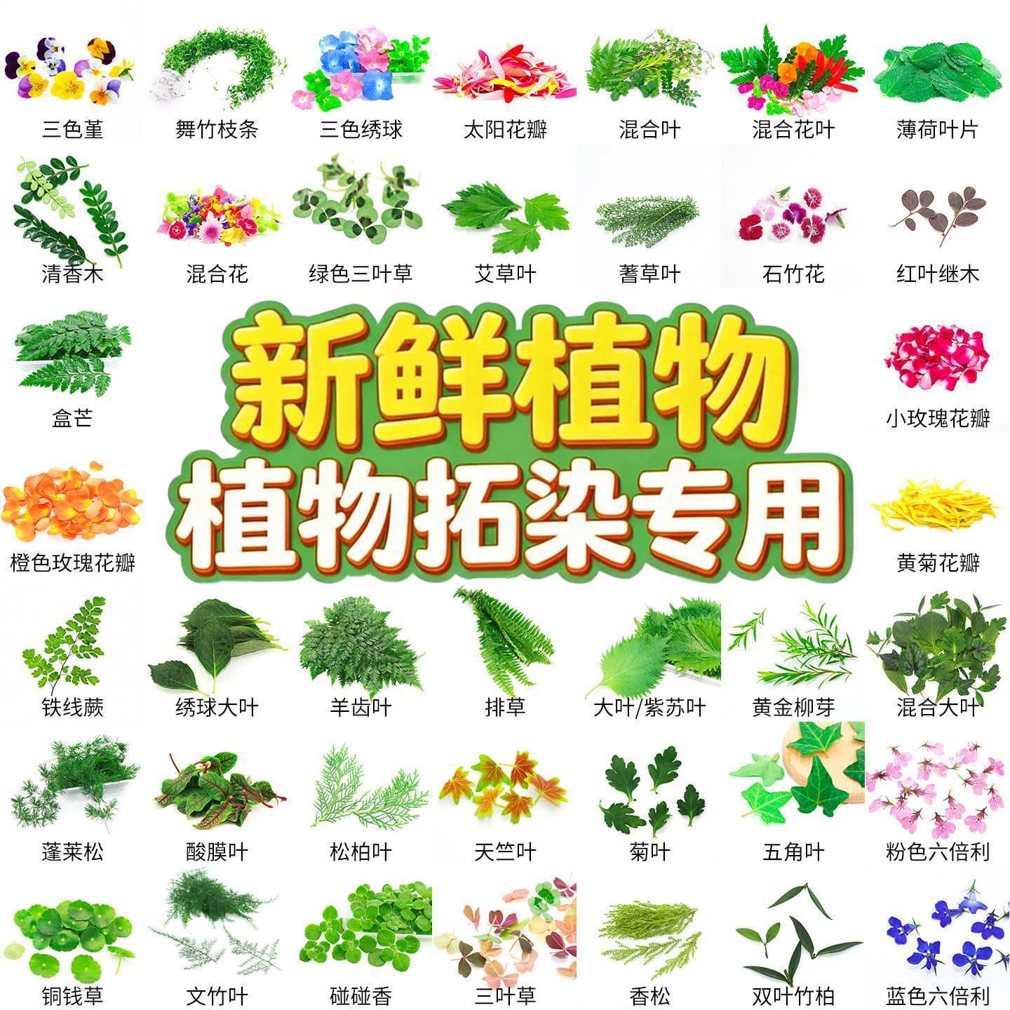 Plant Hammering Nature Printing DIY Handmade Fresh Green Plants Flowers Leaves Material Traditional Rubbing Kindergarten Activity