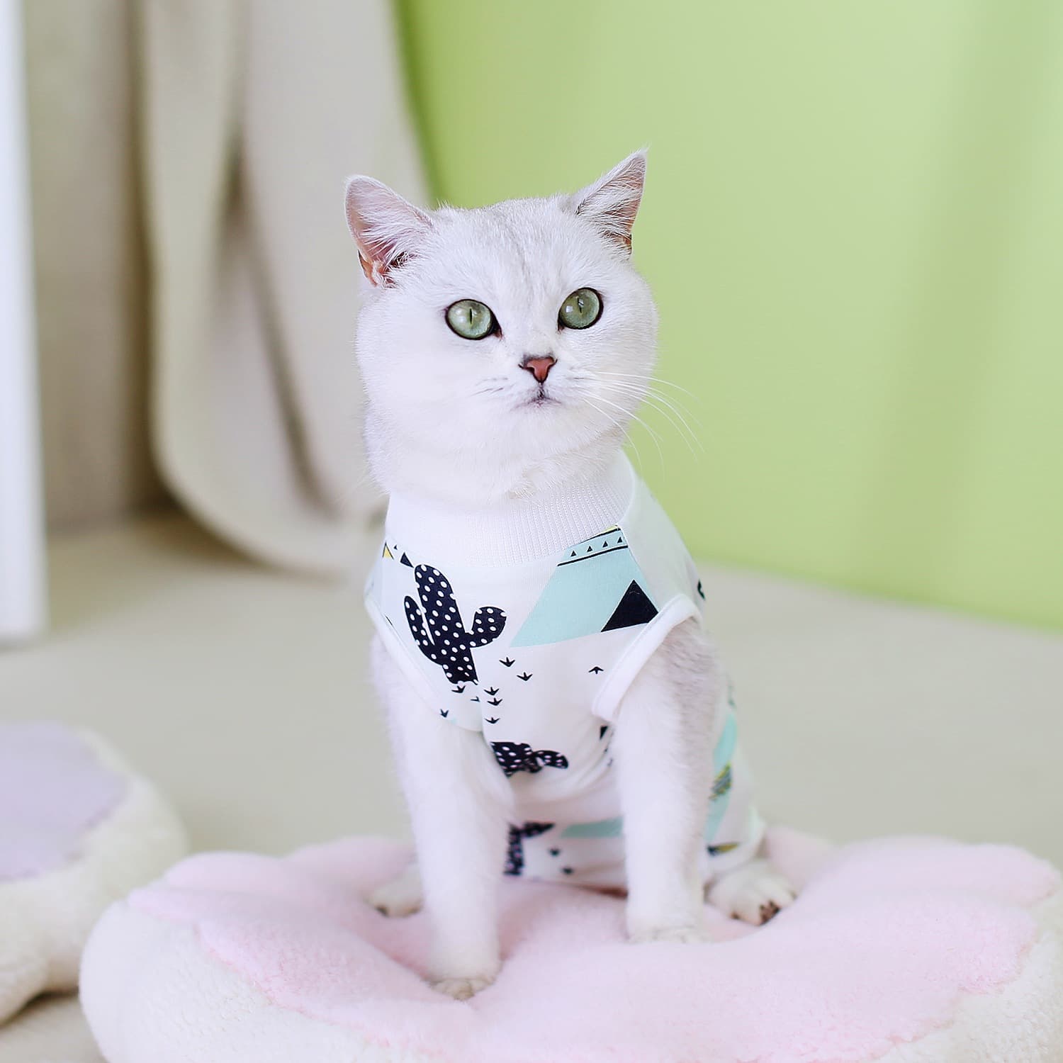 Cat Spay Clothes Surgery Suit Female Cat Weaning Anti Lick Post Surgery Wrap Cat Post Surgery 2024 Pet Supplies