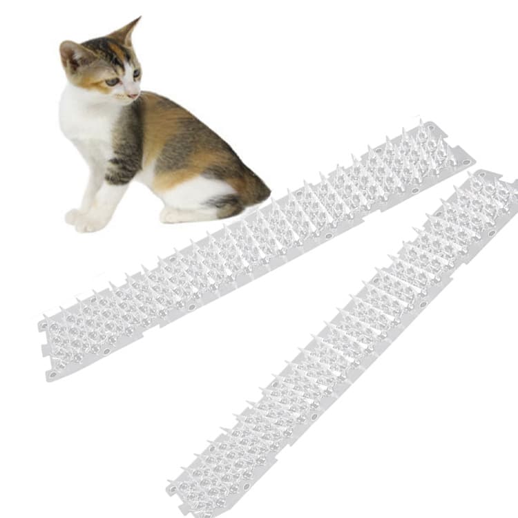 PET Transparent Plastic Rain and Cat Repellent Spikes Protective Nails for Indoor and Outdoor Use Against Pigeons, Squirrels, and Cats