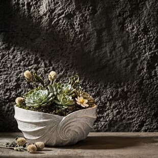 Conch Shape Flower Pot Silicone Mold, Cement Plaster Succulent Potted Plant DIY Decoration Mold