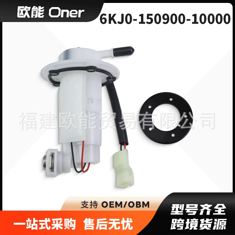 6KJ0-150900-10000 Fuel Pump Compatible with CFMOTO CF 300 CF 400 CF 650 CF700