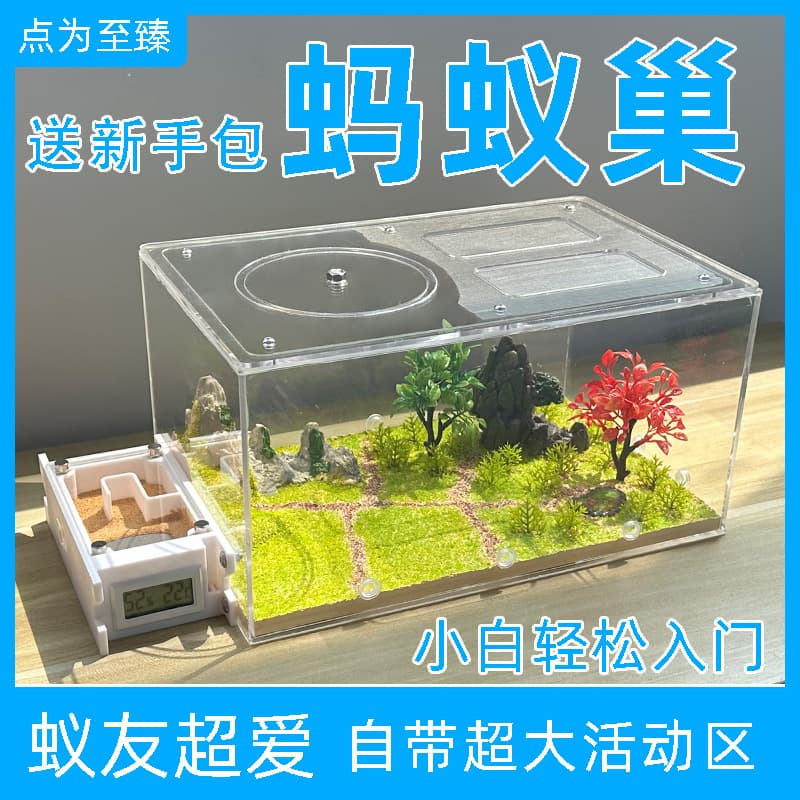 Ant Castle Ant Workshop Ant Nest Concrete Ant Nest Ant Nest Box Large Ant Nest Box