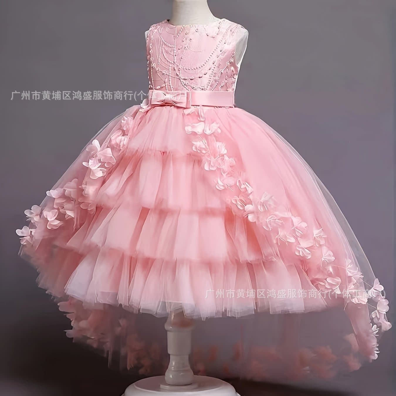 Girls Princess Dress Banquet Gown