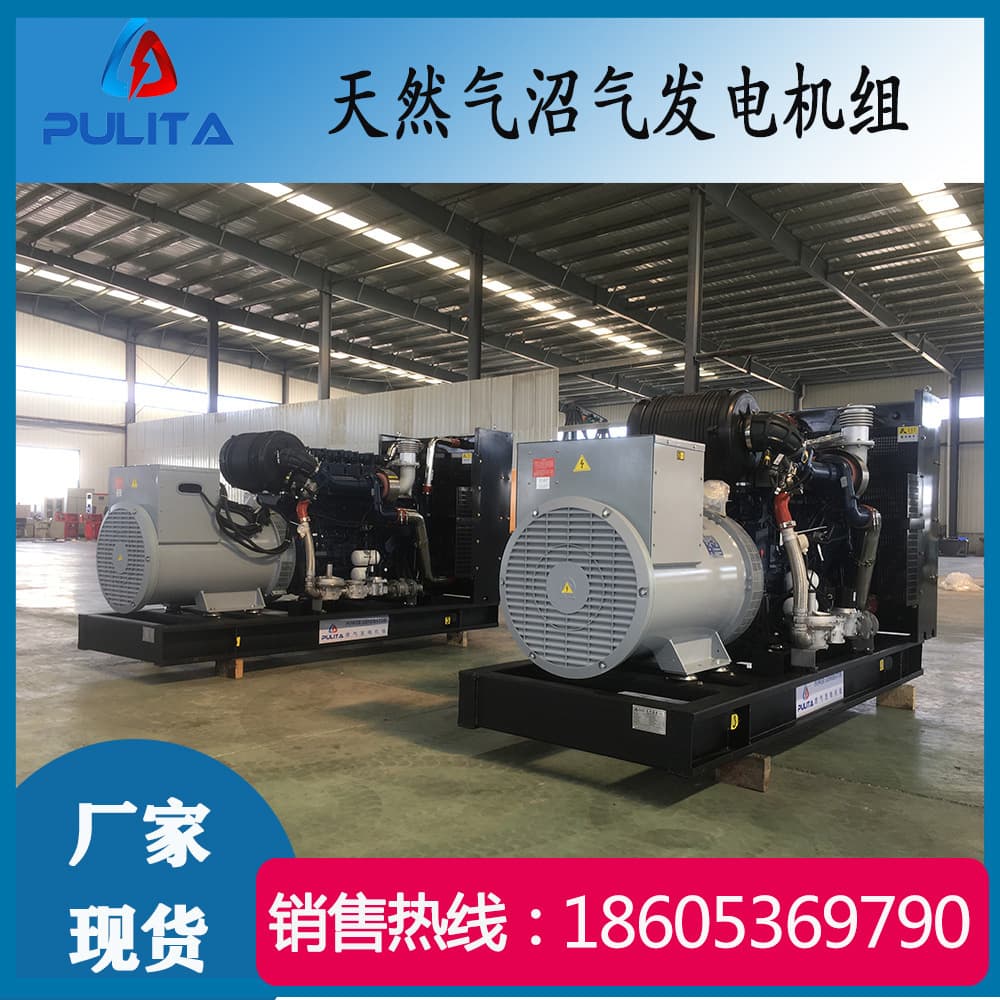 Gas Generator Sets Biogas Natural Gas Straw Gas 100KW 200 250 300kw 500KW 800KW