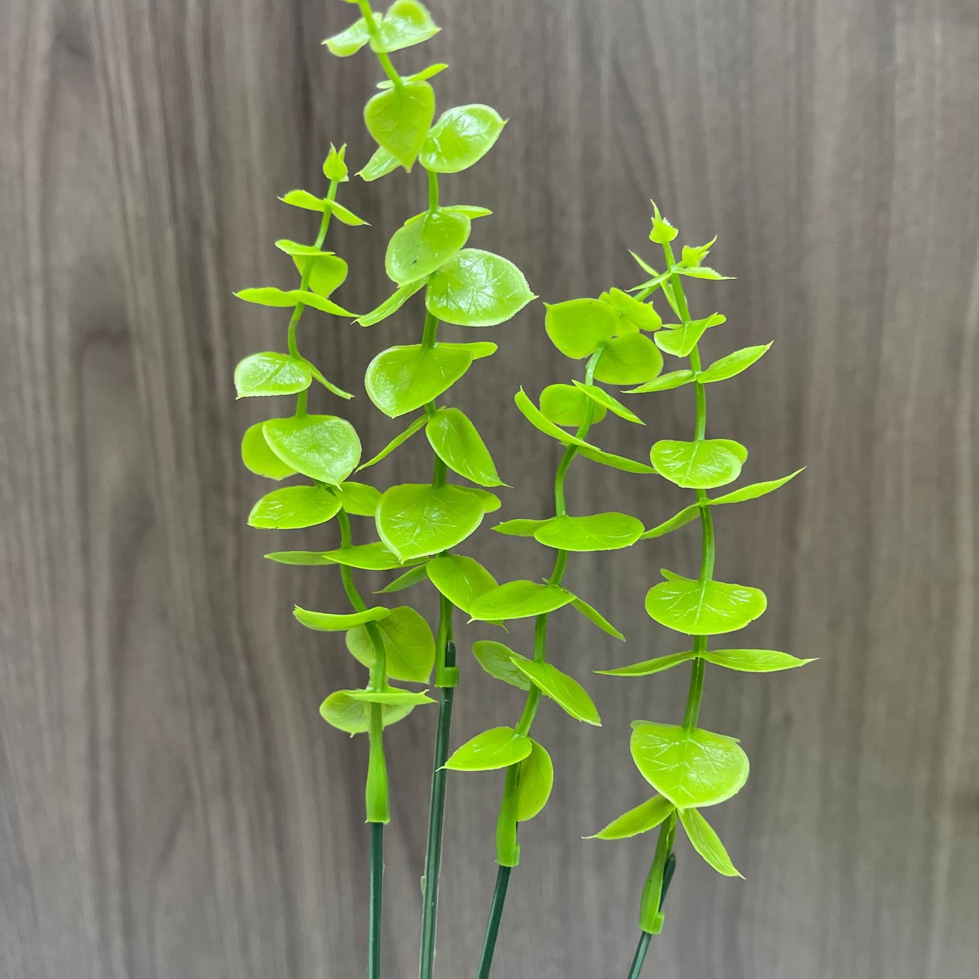 Single Stem Eucalyptus Factory Direct Artificial Green Plant Money Grass Green Plastic Water Plant Fake Flower Accessories