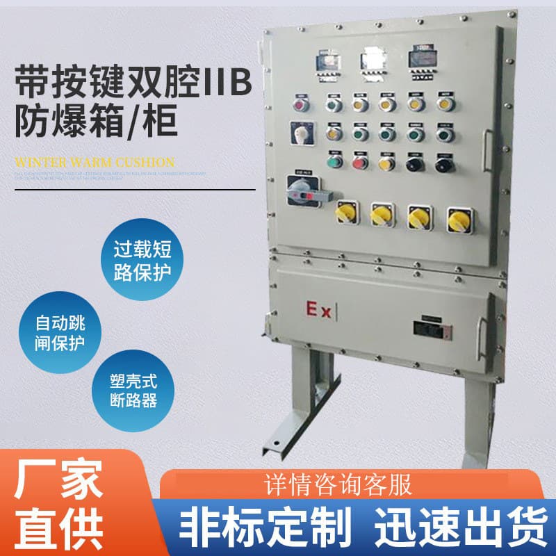 Manufacturer Non-Standard Customized IIB Explosion-Proof Distribution Box, Push Button Explosion-Proof Control Box, Custom Explosion-Proof Control Cabinet