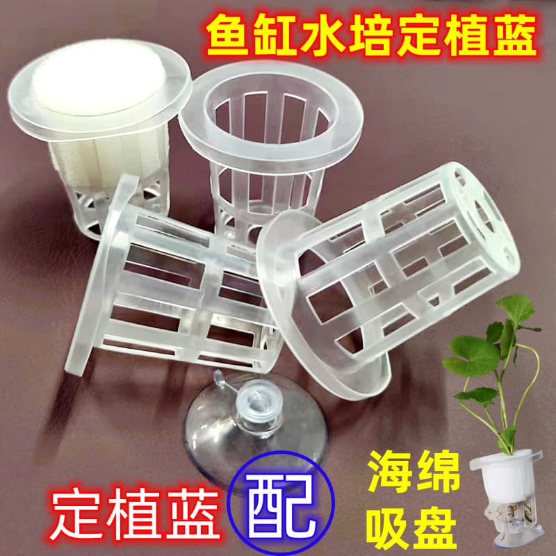 35mm Aquarium Vegetable Planting Basket Hydroponic Fruit Strawberry Soilless Cultivation Planting Cup