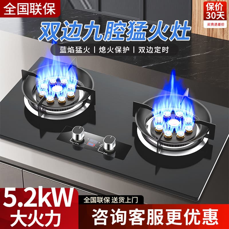 New Hotgood Gas Stove Dual Burner Household Natural Gas Built-in and Freestanding LPG Coal Gas Stove High Power Burner