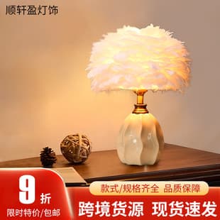 In Stock Bedroom Table Lamp Ambiance Feather Table Lamp Premium Minimalist Nightstand Light Internet Celebrity Guesthouse Decorative Table Lamp