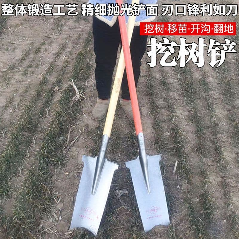 Thickened Shovel for Digging Trees, Outdoor Trenching, Pit Digging Long Handle Spade, Earth and Mountain Digging Flat Head Shovel Cross-border Factory Wholesale