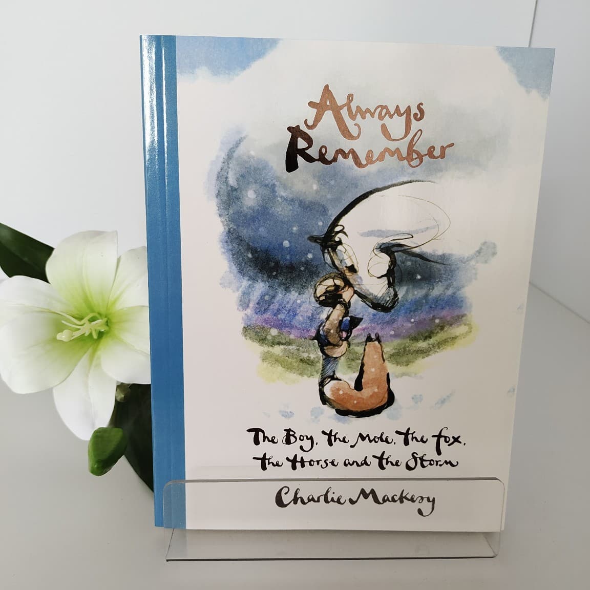 The Boy the Mole the Fox and the Storm English Version