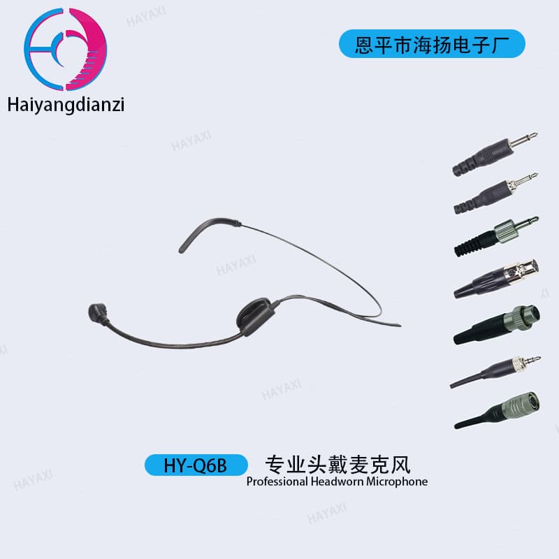 Headset Microphone with Rotating Boom, Wired Speaker Microphone for Teachers and Tour Guides, Lapel Mic for Speech