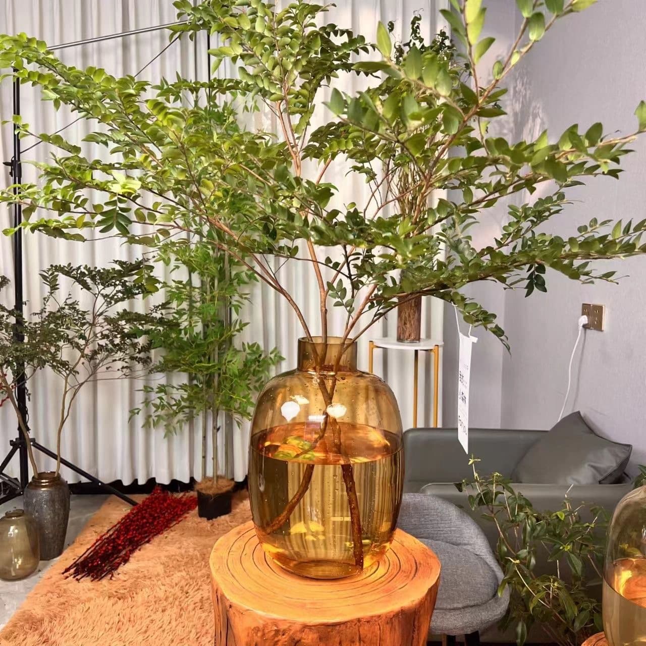 Floor Vase - High Standard, High Transparency for Fresh Cut Flowers like Pieris, Leucothoe, and Broom