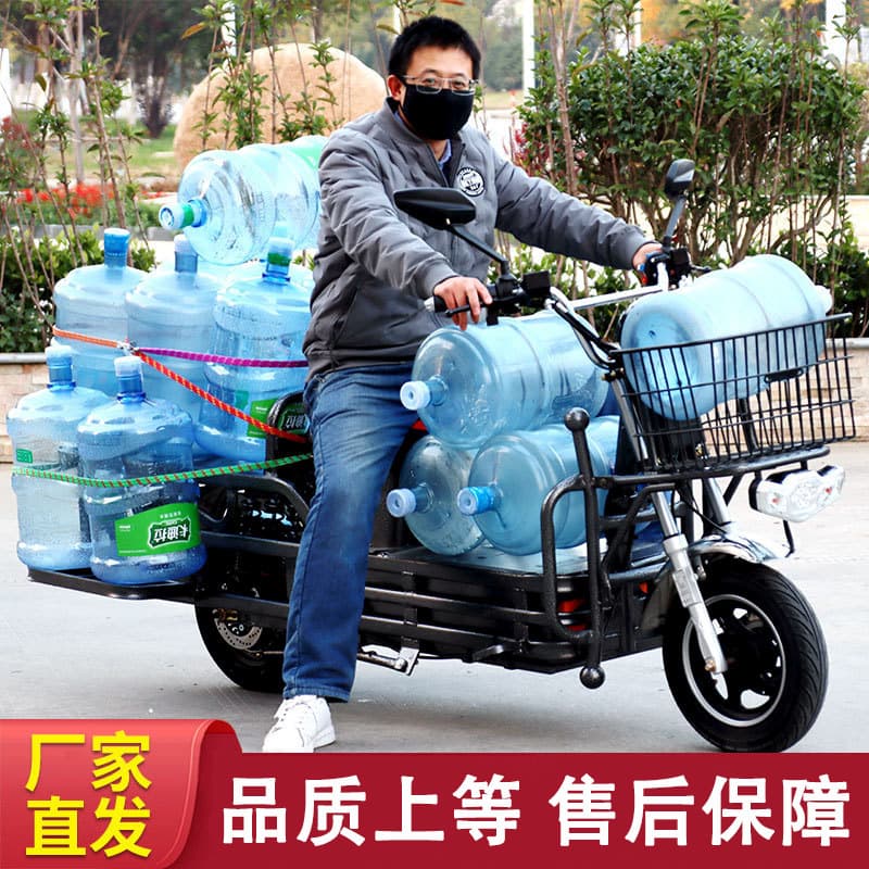 Load King Electric Motorcycle 60V72V Hercules Cargo Delivery Battery Vehicle Long-Range Freight Express Licenseable