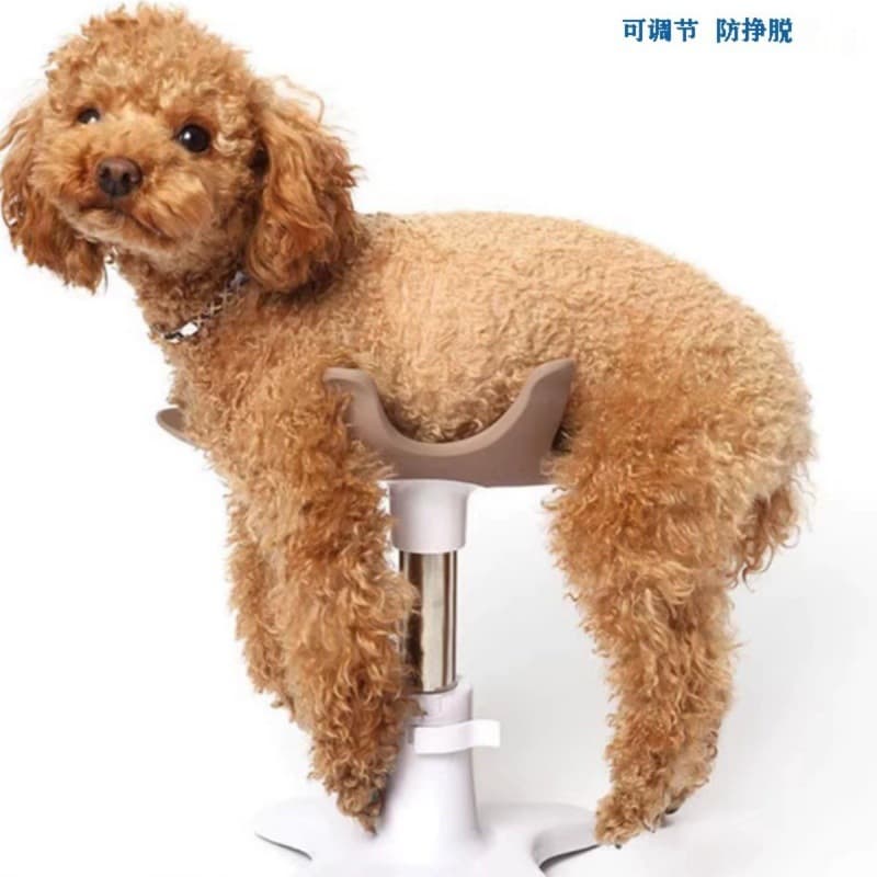 Pet Bathing Restraint, Fixed Stand, Drying Grooming Base Stand, Floor-Mounted Grooming Stand