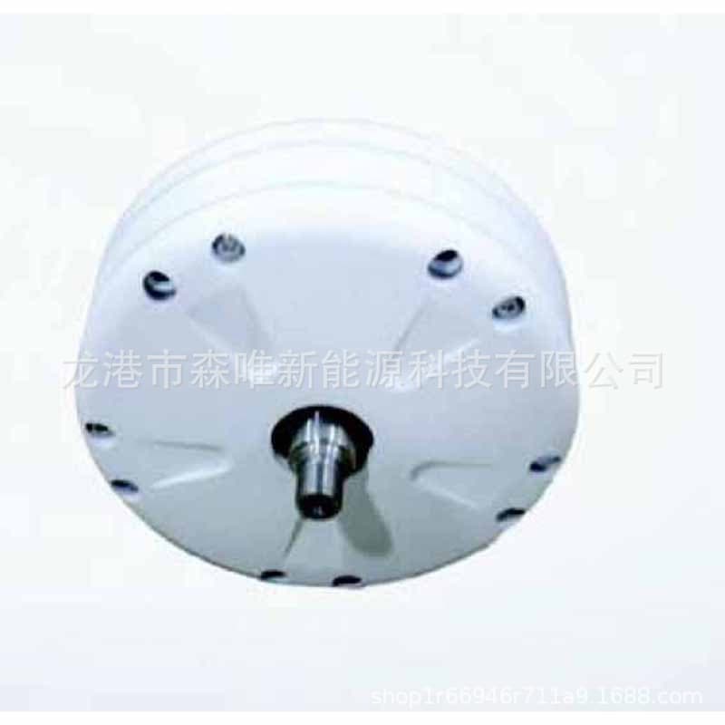 Permanent Magnet Motor Wind Turbine 1000W Low-Speed Direct Drive Permanent Magnet Generator 1Kw Wind and Water Power Generator