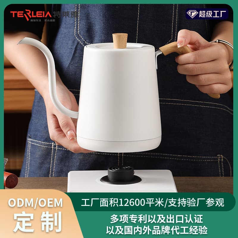 Custom Cross-Border Electric Kettle for Home Tea Brewing, Gongfu Tea with Slim Spout, Temperature Control and Insulation, Constant Temperature Water Heater