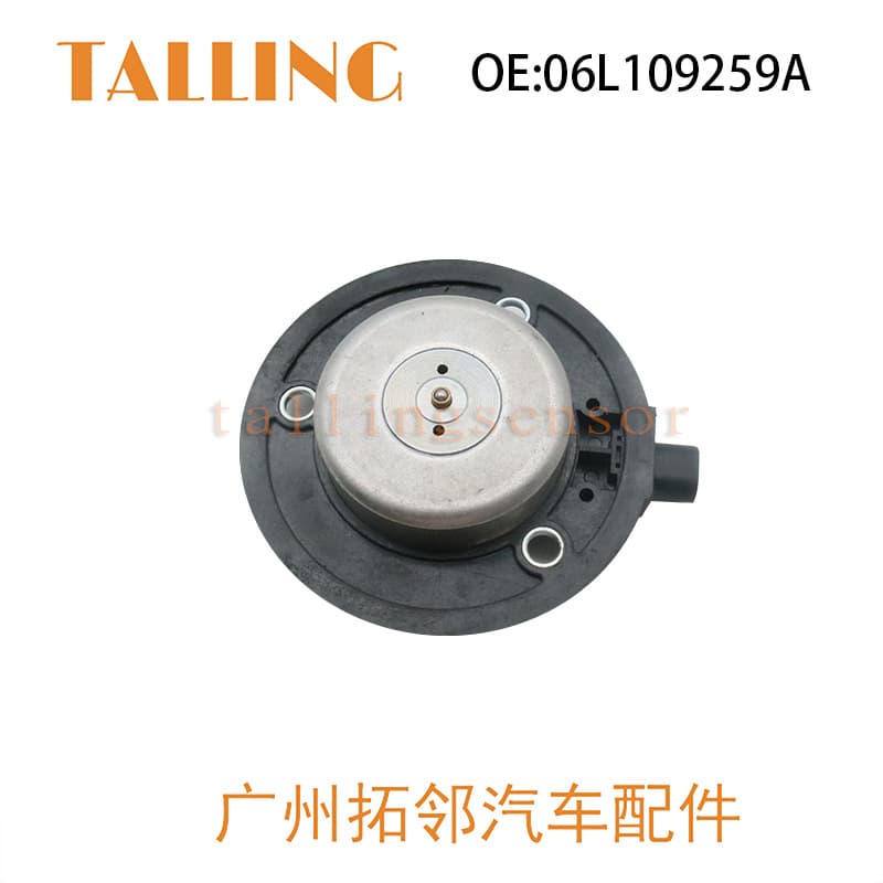 For Volkswagen Audi Car Camshaft Adjustment Control Valve 06L109259A Auto Parts Wholesale