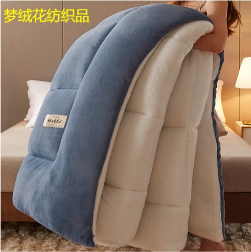 Cross-Border Exclusive Double-Sided Milk Fleece Quilt, Lamb Fleece Warm Thickened Winter Quilt, Spring/Autumn Thickened Duvet Insert, Factory Direct Shipping