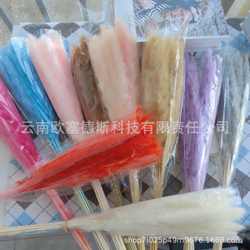 Yunnan source wholesale of dried small reeds and cattails mixed with duster dried flowers bouquets, rabbit tail grass, gem grass, and dried reeds.