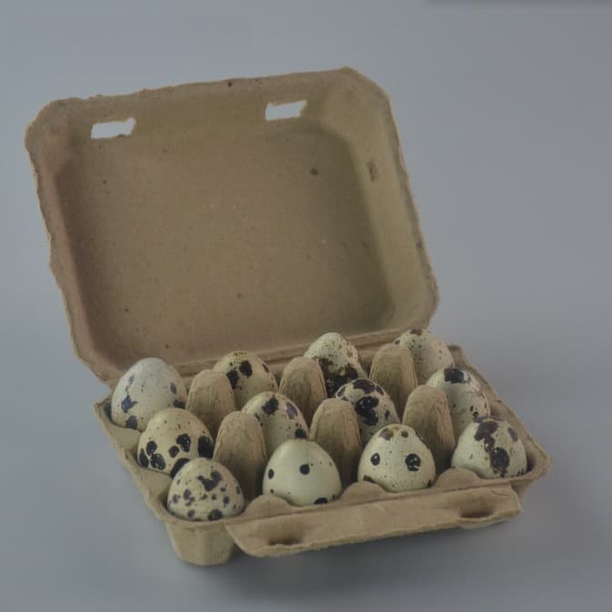 Manufacturer supplies paper pulp quail egg boxes, 12 quail egg boxes, shock-absorbing biodegradable quail egg boxes
