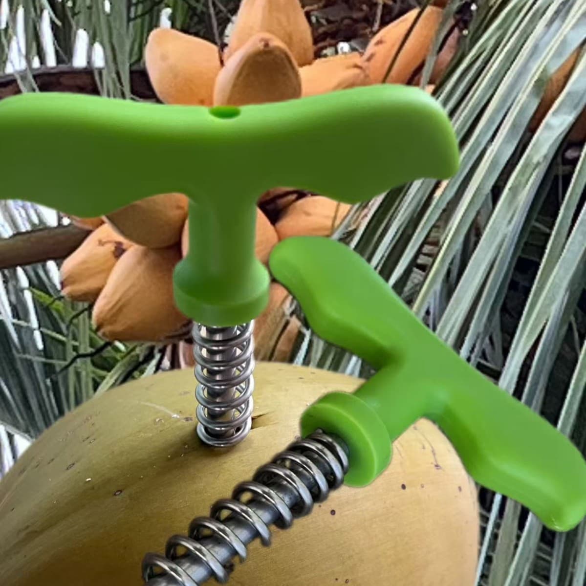 Huali Cloud new model coconut opener, coconut drilling miracle tool