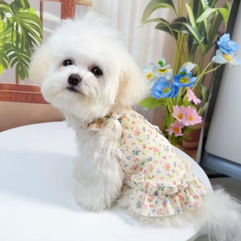 Pet Clothes Summer Thin Breathable Cat and Small Dog Clothes Princess Dress Summer Thin Dress for Small Breed Dogs