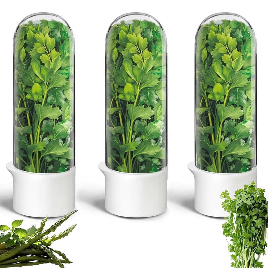 Cross-border New Herb Preservation Cup Vegetable Storage Container Second Generation Large Size High Capacity