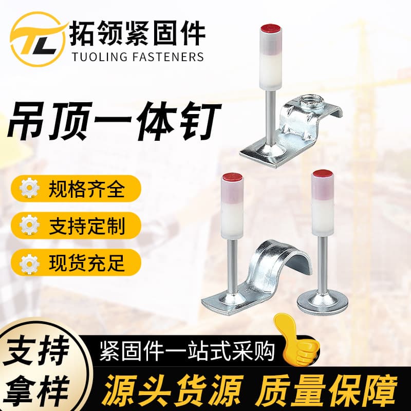 Factory Direct Wholesale Silent Ceiling Integrated Nails, Fire Nails, Mini Nails, Pipe Clamp Nails for Home Decoration